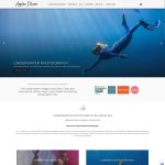 geelong web design agency