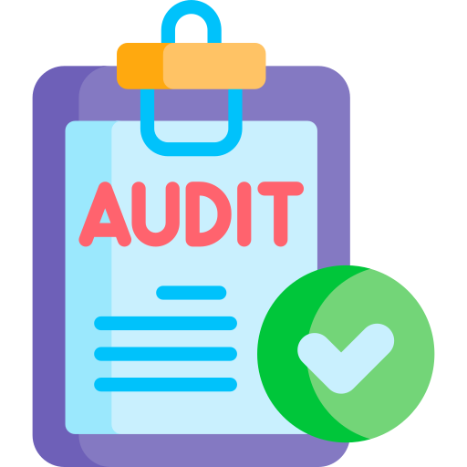 wordpress audit